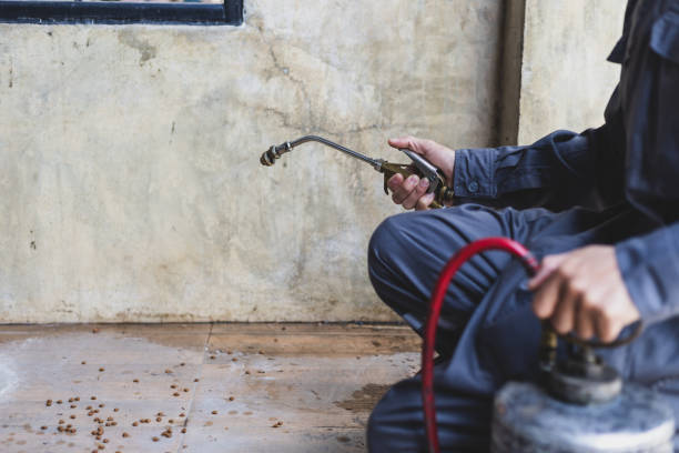 Professional Pest Control in Barker Heights, NC